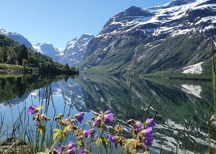 公寓 Mountain & Fjord View *
