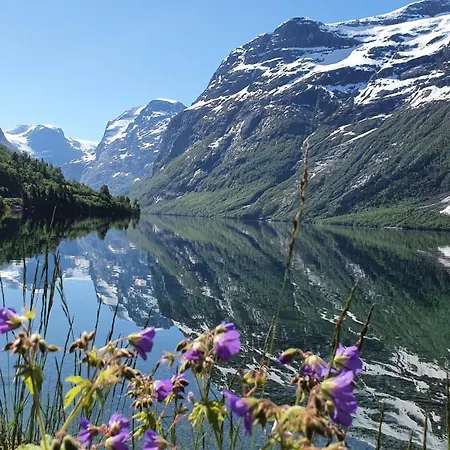 Apartamento Mountain & Fjord View *